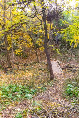Sonbaharda Indian Village Canyon, Duranceau Park, Columbus, Ohio