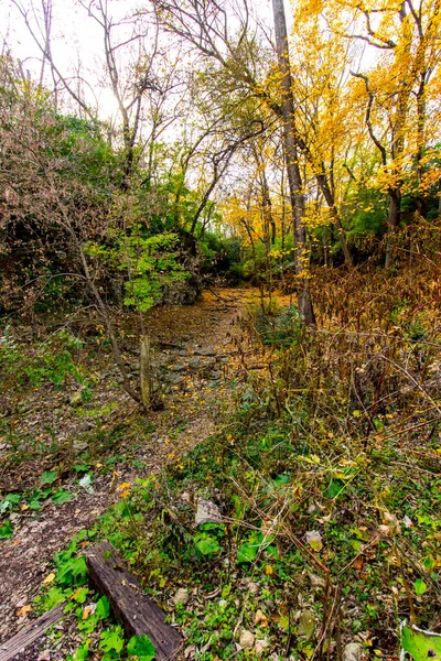 Indian Village Canyon Autunno Duranceau Park Columbus Ohio — Foto Stock