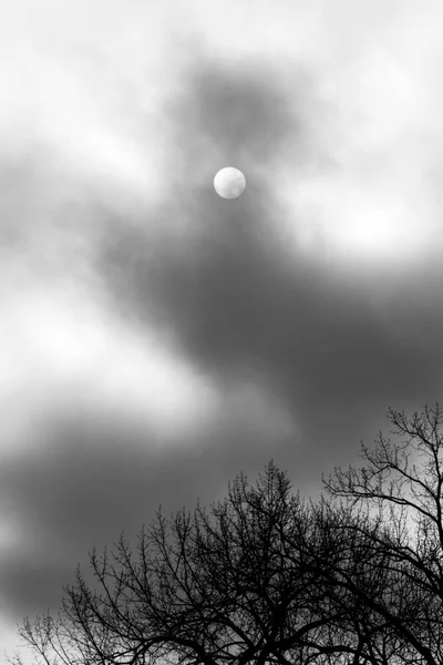 Sol Obscurecido Durante Uma Manhã Nublada Outono — Fotografia de Stock