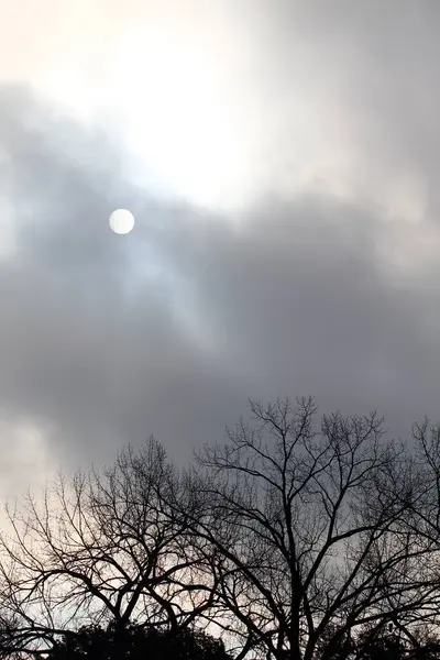 Осінній Ранок Небо Сонцем Затьмареним Хмарами — стокове фото
