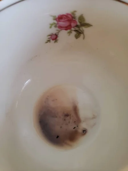 Пустой Чашки Кофе Китаем Который Имеет Розовые Узоры — стоковое фото