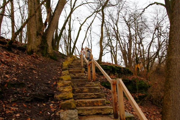 Quarry Trails Metro Park Columbus Ohio — Stockfoto