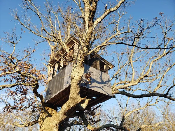 View Treehouse Winter — Stock Photo, Image