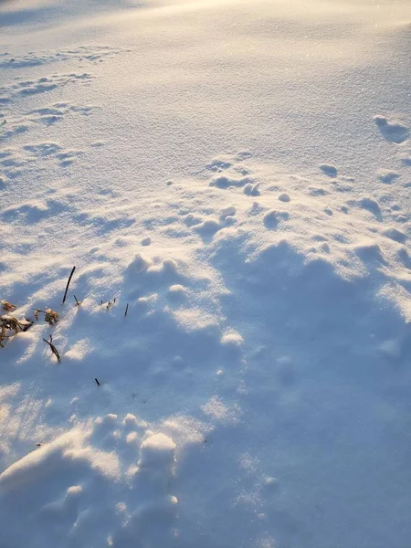 Fresh Snow Cover Soon Heavy Snowfall Winter — Stock Photo, Image