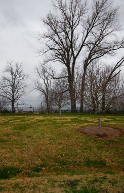 Konfederasyon Mezarlığı, Doğu Kanadı Savaş Parkı, Franklin, Tennessee