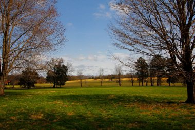 Andrew Jackson 'ın Tennessee, Nashville dışındaki Hermitage' ına bakıyor.