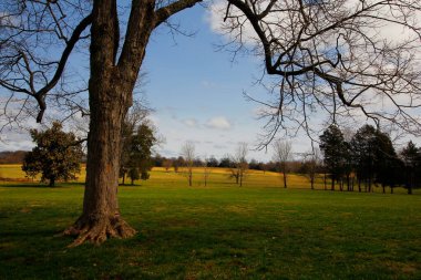 Andrew Jackson 'ın Tennessee, Nashville dışındaki Hermitage' ına bakıyor.