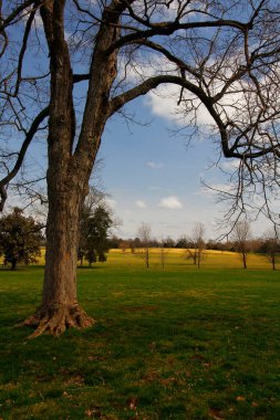 Andrew Jackson 'ın Tennessee, Nashville dışındaki Hermitage' ına bakıyor.