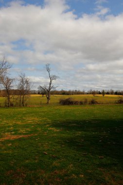 Andrew Jackson 'ın Tennessee, Nashville dışındaki Hermitage' ına bakıyor.