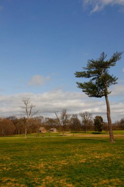 Andrew Jackson 'ın Tennessee, Nashville dışındaki Hermitage' ına bakıyor.