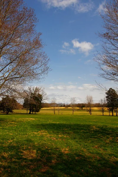 Andrew Jackson 'ın Tennessee, Nashville dışındaki Hermitage' ına bakıyor.