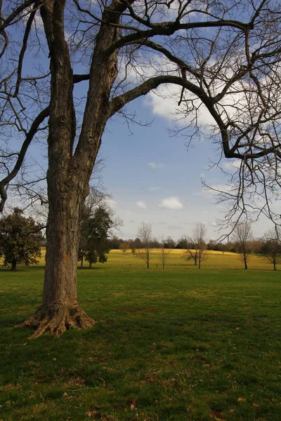 Andrew Jackson 'ın Tennessee, Nashville dışındaki Hermitage' ına bakıyor.