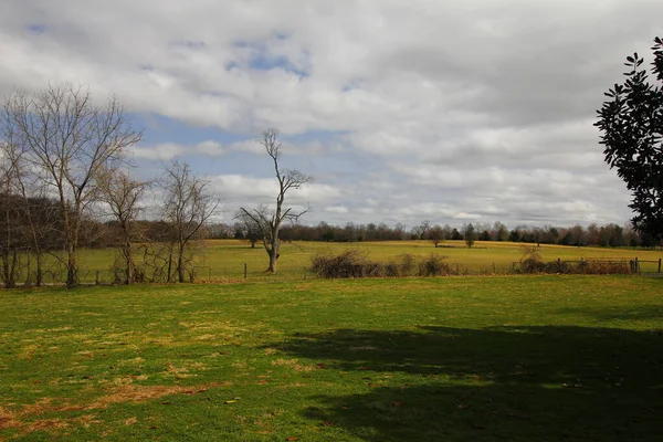 Andrew Jackson 'ın Tennessee, Nashville dışındaki Hermitage' ına bakıyor.