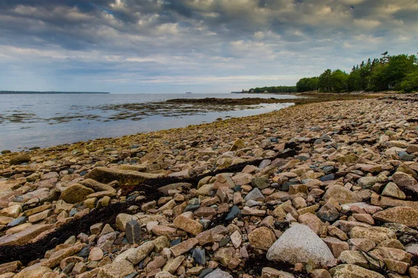 Rocky Beach Der Gouldsboro Bay Maine — Stockfoto