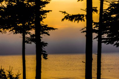 Warm Sunrise on Gouldsboro Bay, Maine