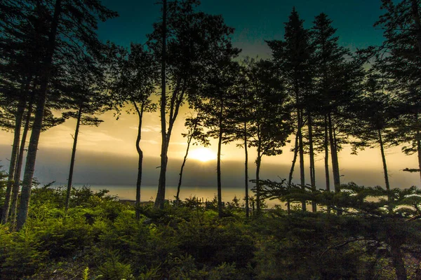 Warmer Sonnenaufgang Über Der Gouldsboro Bay Maine — Stockfoto