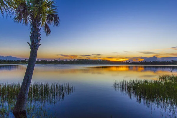 Colorido Atardecer Sobre Lago Zobel George Lestrange Preserve Fort Pierce — Foto de Stock