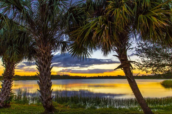 Colorous Sunset Lake Zobel George Lestrange Preserve Fort Pierce Florida — стокове фото