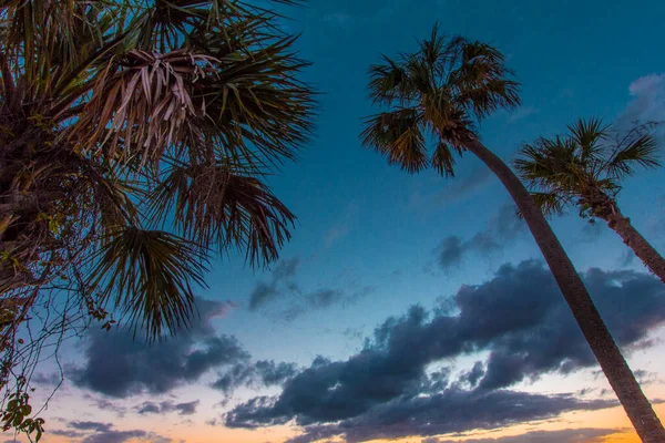 Colorido Atardecer Sobre Lago Zobel George Lestrange Preserve Fort Pierce —  Fotos de Stock