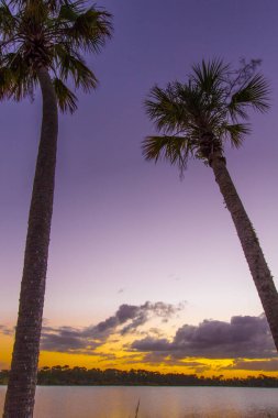 Zobel Gölü üzerinde renkli günbatımı, George LeStrange Konservesi, Fort Pierce, Florida