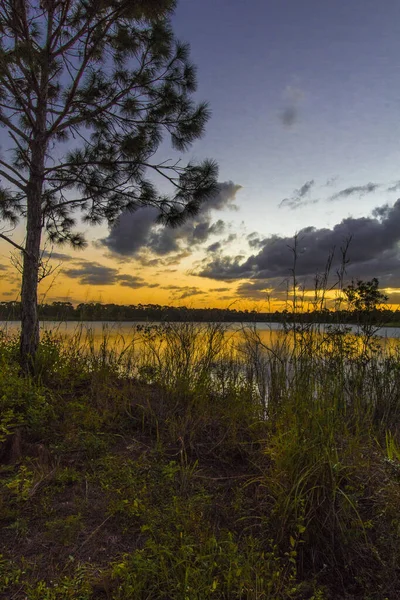 Colorido Atardecer Sobre Lago Zobel George Lestrange Preserve Fort Pierce —  Fotos de Stock