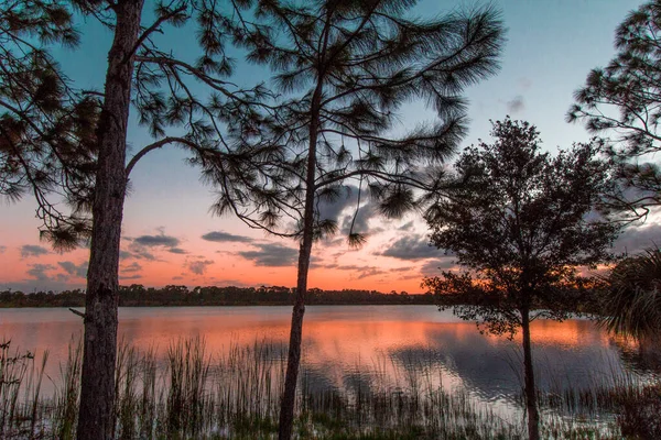 Farbenfroher Sonnenuntergang Über Dem Lake Zobel George Lestrange Preserve Fort — Stockfoto