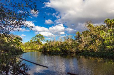 Oxbow Çevre Merkezi, Fort Pierce, Florida