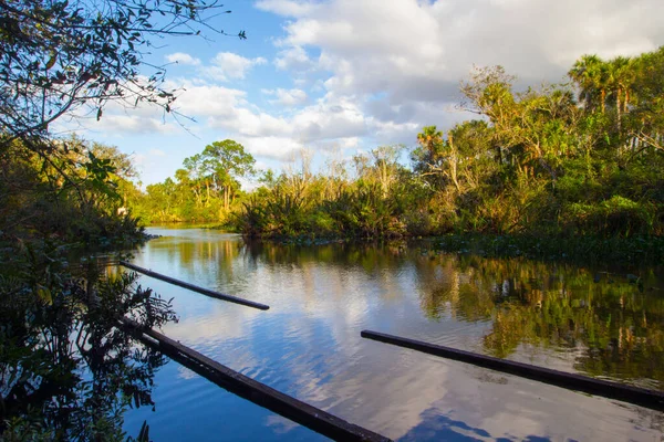 Oxbow Eco Center Fort Pierce Florida — Fotografia de Stock