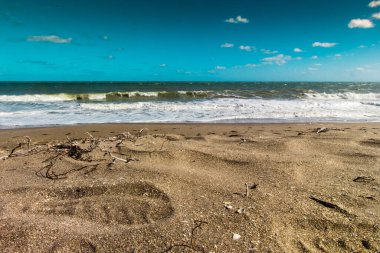 Güneşli bir günde Atlantik Okyanusu kıyısındaki sahil, Fort Pierce, Florida