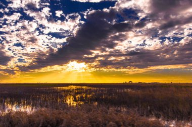 Akşamları Güney Florida Çiftliği