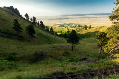 Bear Butte Eyalet Parkı Yazın, Güney Dakota