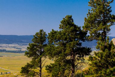 Bear Butte Eyalet Parkı Yazın, Güney Dakota
