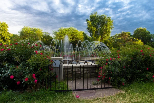 Parc Des Roses Columbus Ohio — Photo