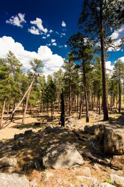 Şeytan Kulesi Ulusal Anıtı, wyoming