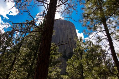 Şeytan Kulesi Ulusal Anıtı, wyoming