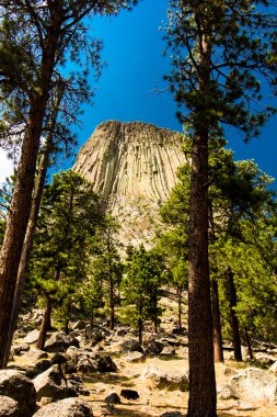 Şeytan Kulesi Ulusal Anıtı, wyoming