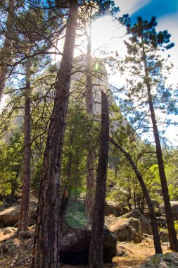 Şeytan Kulesi Ulusal Anıtı, wyoming