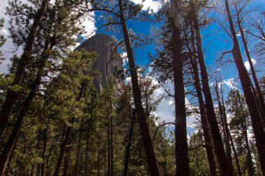 Şeytan Kulesi Ulusal Anıtı, wyoming