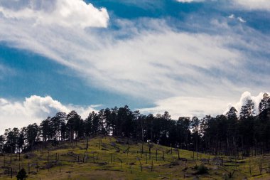 Şeytan Kulesi Ulusal Anıtı, wyoming