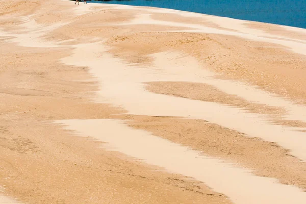 Michigan Silver Lake State Park 'ta kum tepeleri