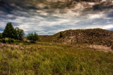 Ludington Eyalet Parkı, Michigan