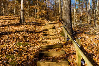 Hafif bir karın ardından sonbaharda Hemlock Cliffs, Indiana
