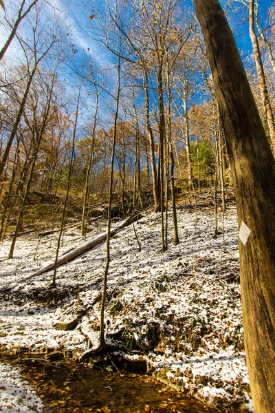 Scogliere Cicuta Autunno Dopo Una Leggera Neve Indiana — Foto Stock