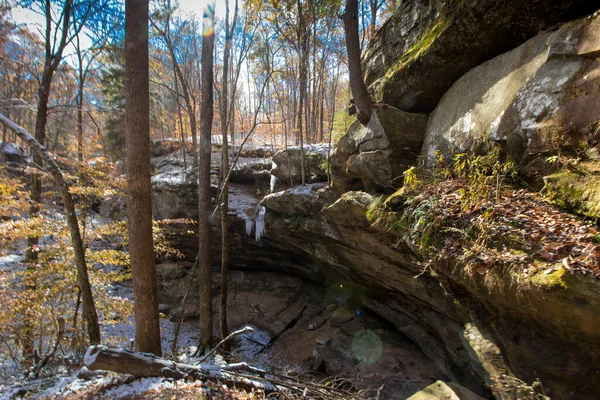 Scogliere Cicuta Autunno Dopo Una Leggera Neve Indiana — Foto Stock