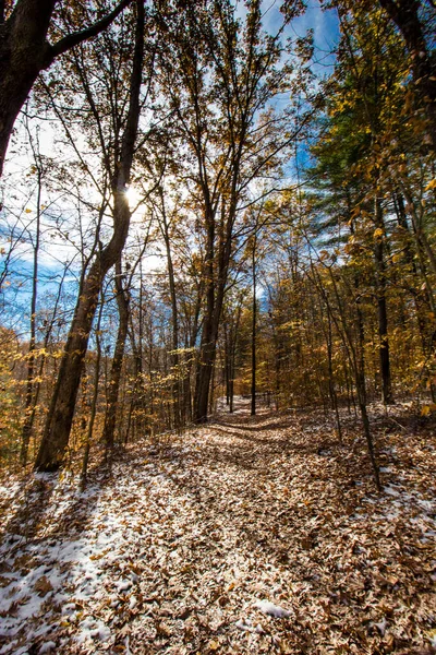 Falaises Pruche Automne Après Une Légère Neige Indiana — Photo