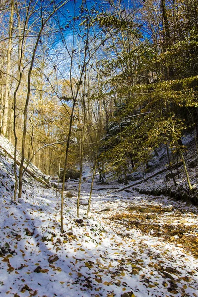 Hemlock Cliffs Jesienią Lekkim Śniegu Indiana — Zdjęcie stockowe