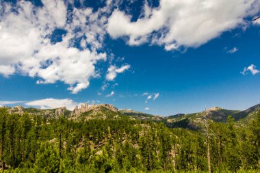 Yazın Needles Otoyolu 'ndan Custer Eyalet Parkı, Güney Dakota