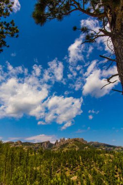 Yazın Needles Otoyolu 'ndan Custer Eyalet Parkı, Güney Dakota