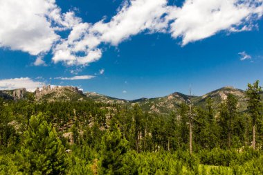 Yazın Needles Otoyolu 'ndan Custer Eyalet Parkı, Güney Dakota