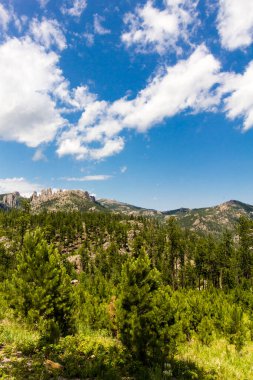 Yazın Needles Otoyolu 'ndan Custer Eyalet Parkı, Güney Dakota